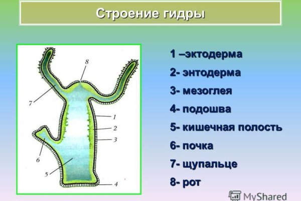 Ссылки в тор